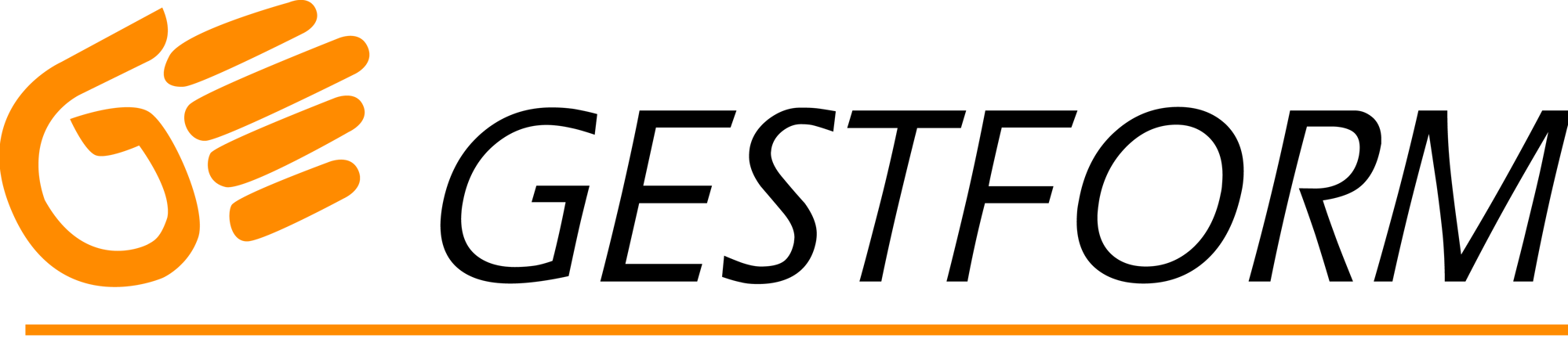 GESTFORM_HD