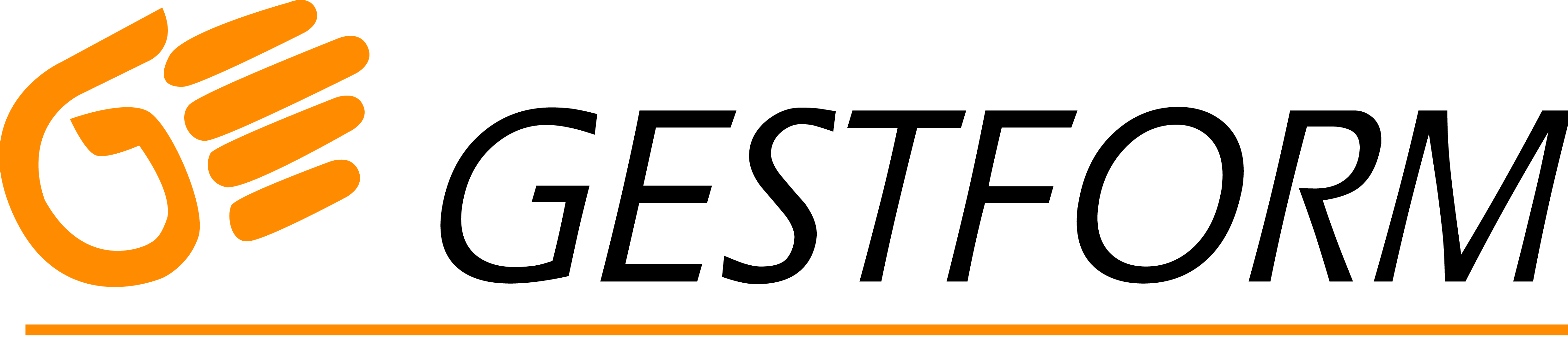 GESTFORM_HD